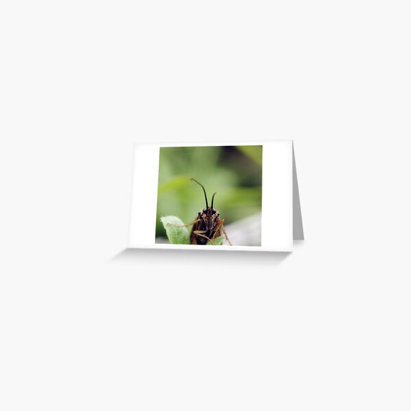 Alien Greeting Card