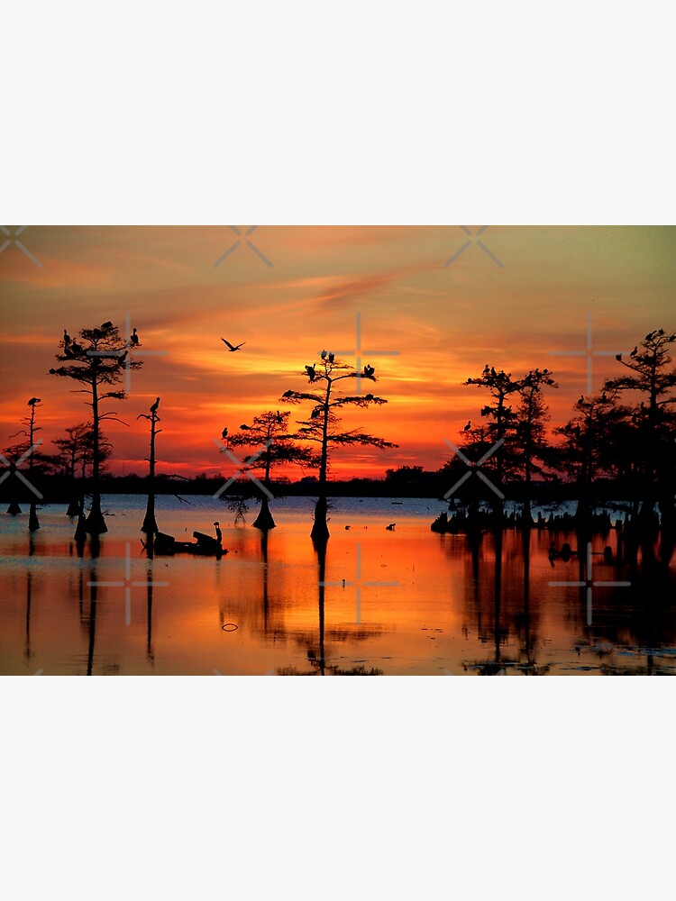 Sunset on the Bayou by Bluemarlin