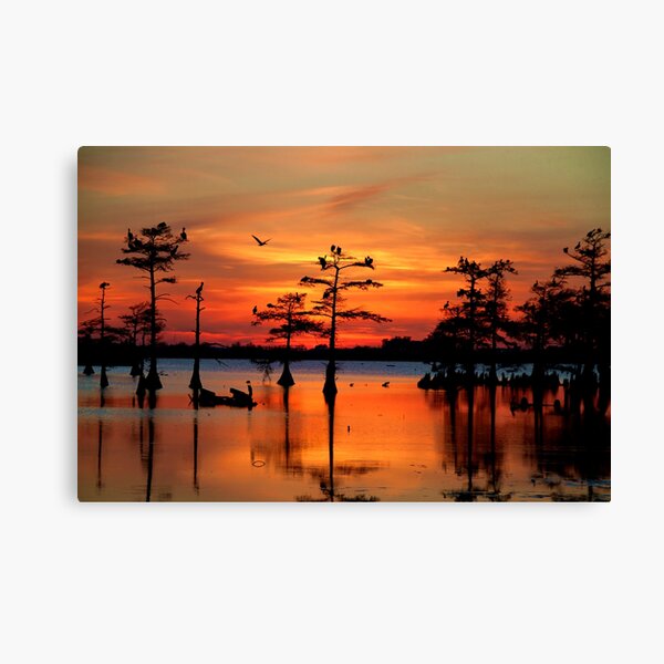 Sunset on the Bayou Canvas Print
