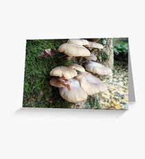 Fungi V Greeting Card