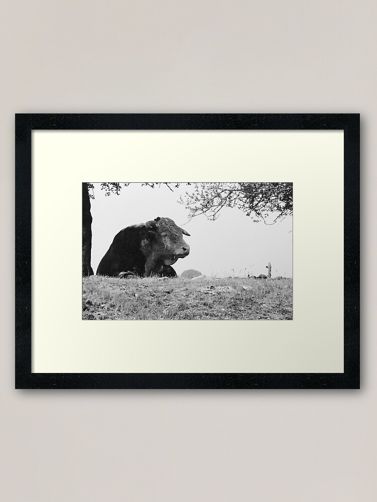 "ferdinand the bull" Framed Art Print for Sale by mike Redbubble