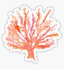 Coral - Watercolour - Great Barrier Reef Sticker