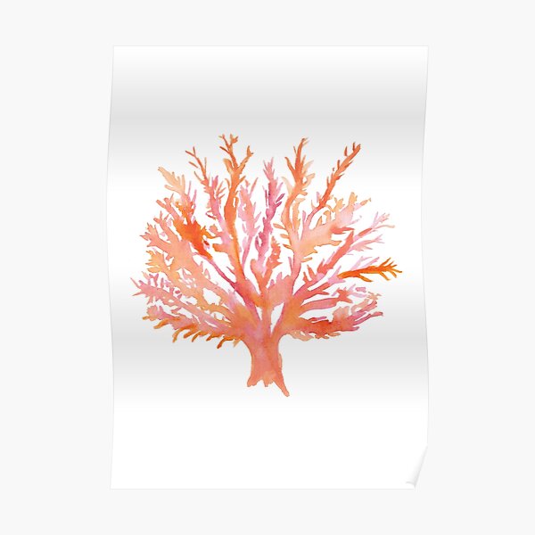 Coral - Watercolour - Great Barrier Reef Poster