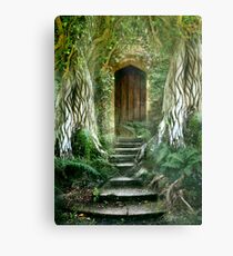 The Secret Door Metal Print