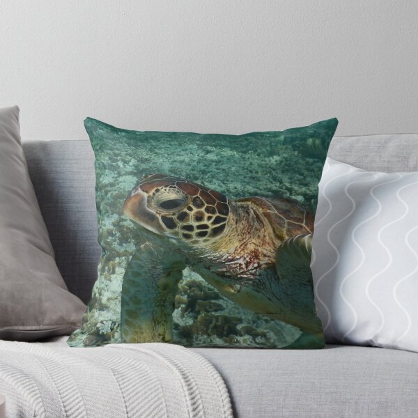 Item preview, Green sea turtle  designed and sold by Ecodream.