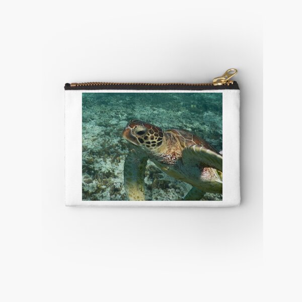 Aperçu de l'œuvre Tortue verte créée et vendue par Ecodream.