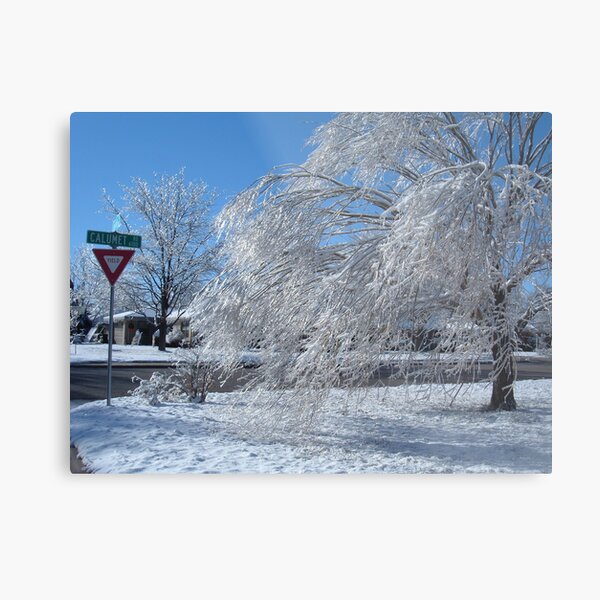 Texas Ice Storm Metal Print