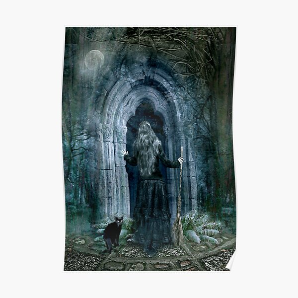 The Magic Door Poster