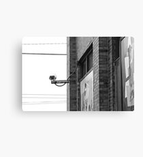 Survey the Streets Canvas Print