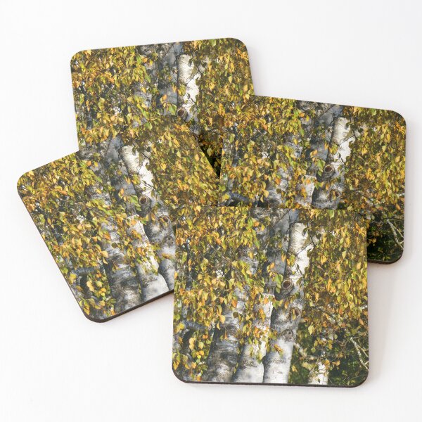 Item preview, Silver Birch, Weilheim, Germany designed and sold by JonDelorme.