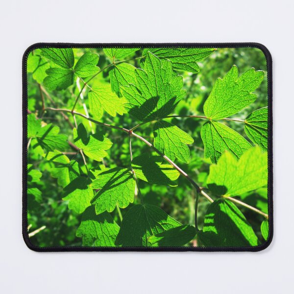 Item preview, Summer green leaves | nature green leaves designed and sold by lausn.