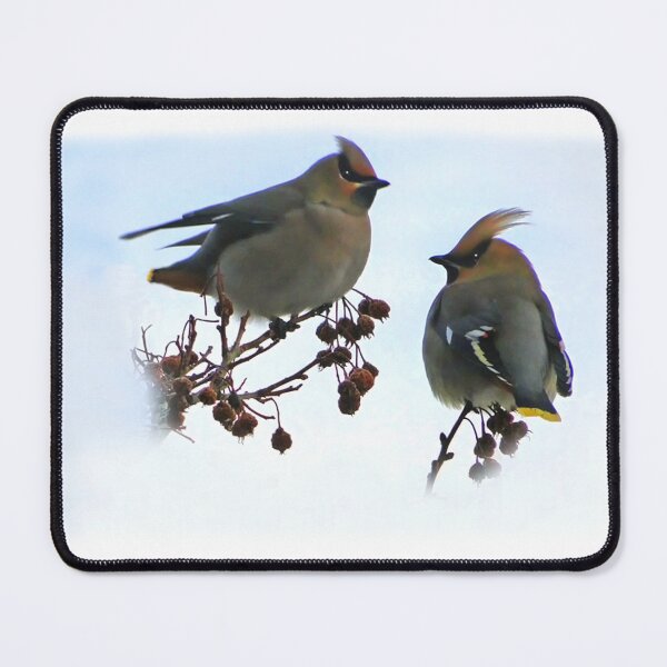 Item preview, Bohemian Waxwings Are Beautiful designed and sold by alabca.