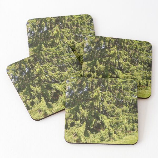 Item preview, Unique Willow Tree photograph designed and sold by marvacousins246.