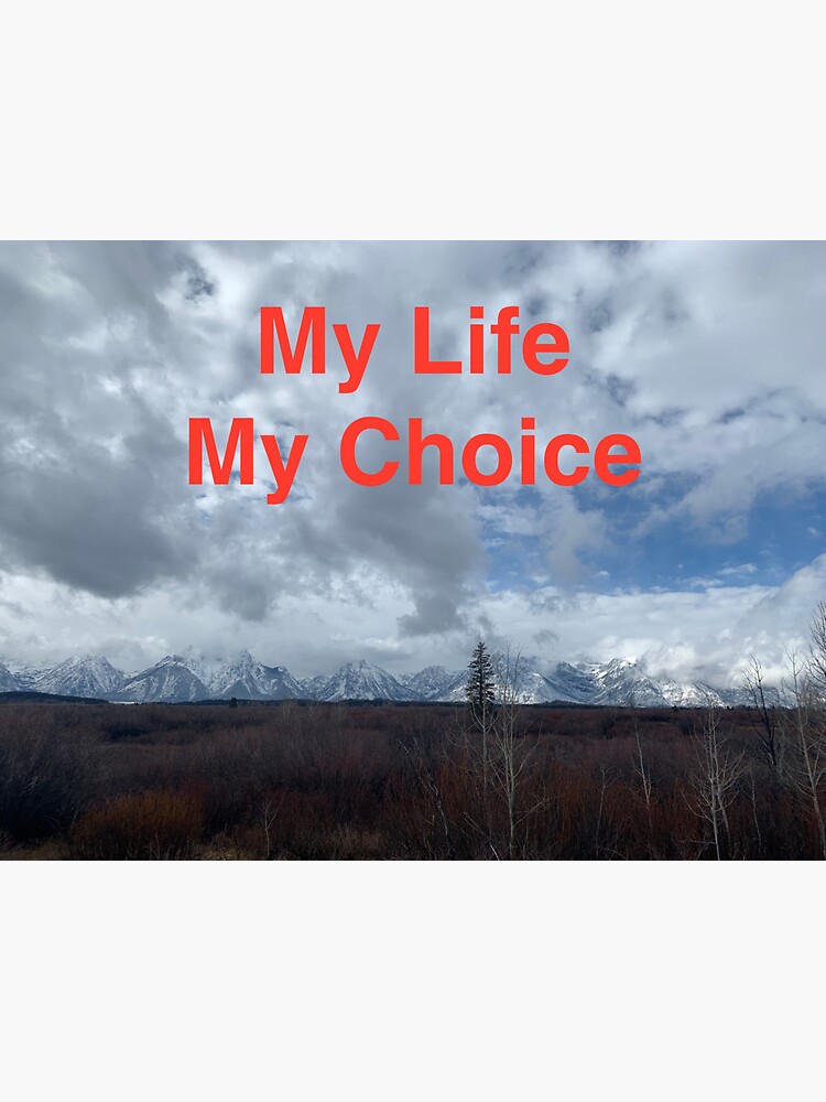 "My Life My Choice" Sticker for Sale by pacificstar | Redbubble