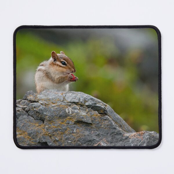 Item preview, Chipmunk designed and sold by Michael Cummings.