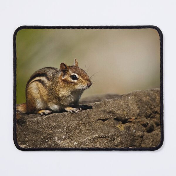 Item preview, Chipmunk designed and sold by Michael Cummings.