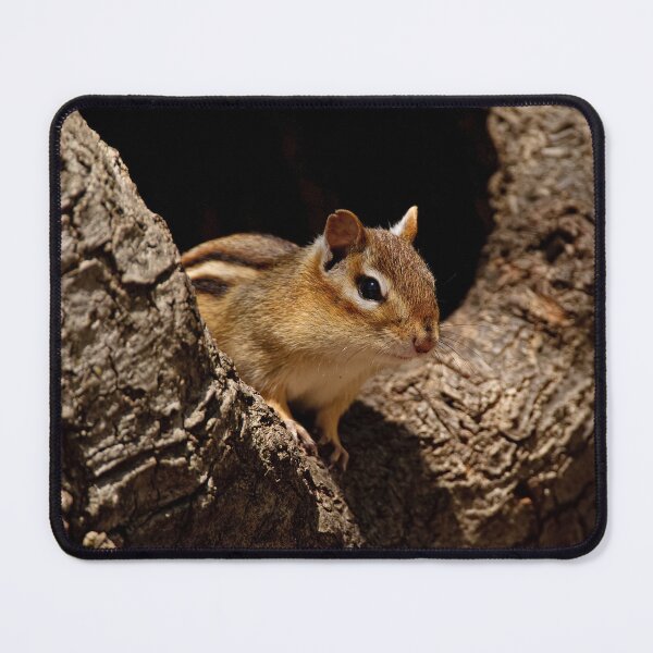 Item preview, Chipmunk designed and sold by Michael Cummings.