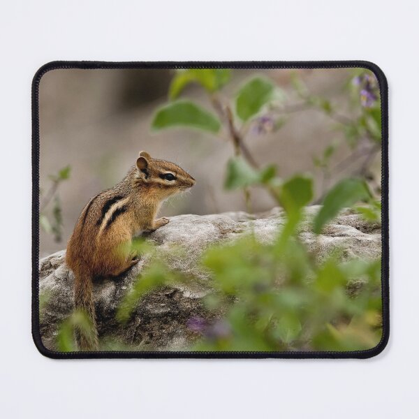 Item preview, Chipmunk designed and sold by Michael Cummings.