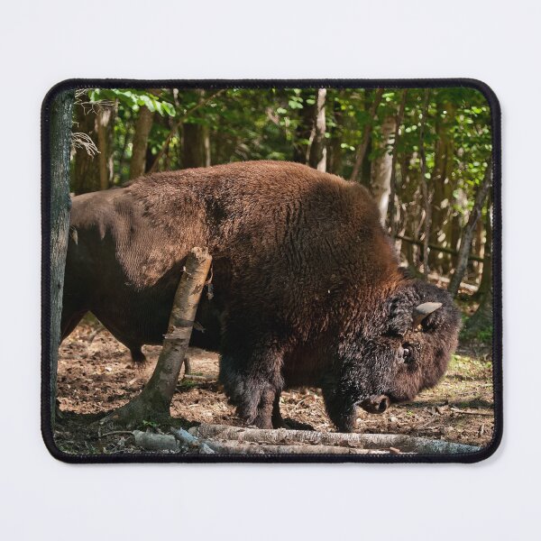 Item preview, Bison designed and sold by Michael Cummings.