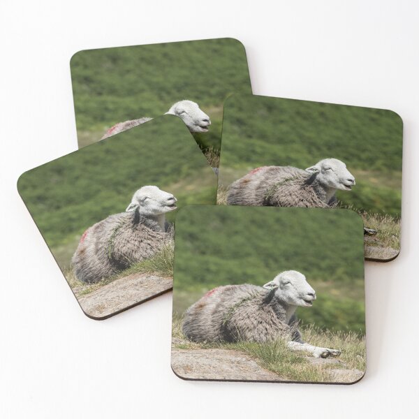 Item preview, Herdwick Chilling on the Fells designed and sold by Jane Stanley Photography.