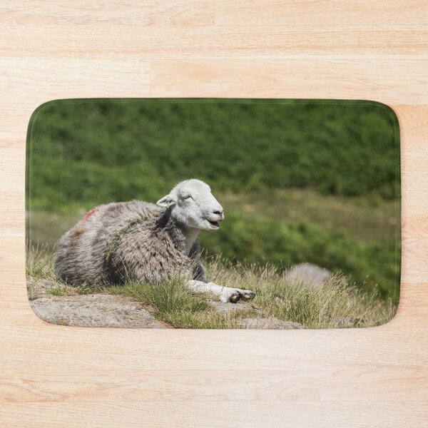 Item preview, Herdwick Chilling on the Fells designed and sold by Jane Stanley Photography.