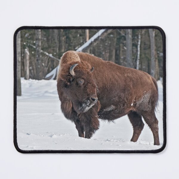 Item preview, Bison In Snow designed and sold by Michael Cummings.