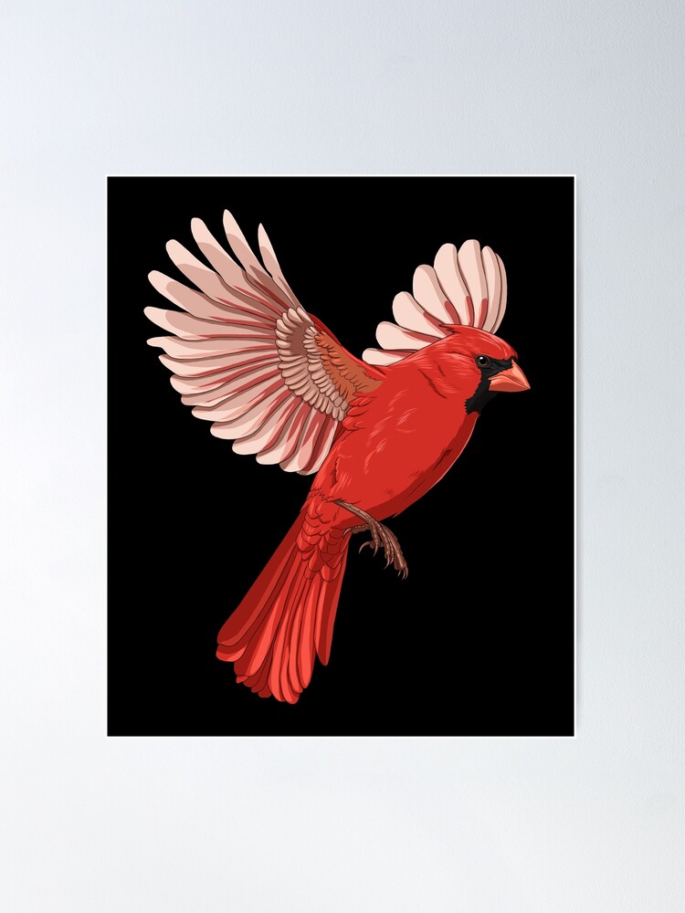 Blue Jay Bird Hugging Northern Cardinal Poster by alwe-designs