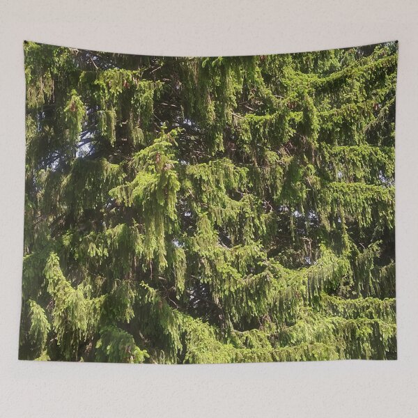 Item preview, Unique Willow Tree photograph designed and sold by marvacousins246.
