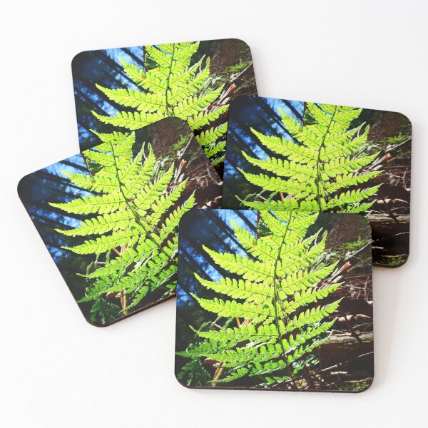 Item preview, Lone Fern in Somerset designed and sold by JonDelorme.