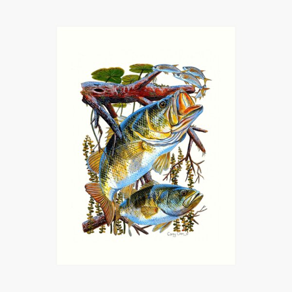 Bass Undercover Art Print
