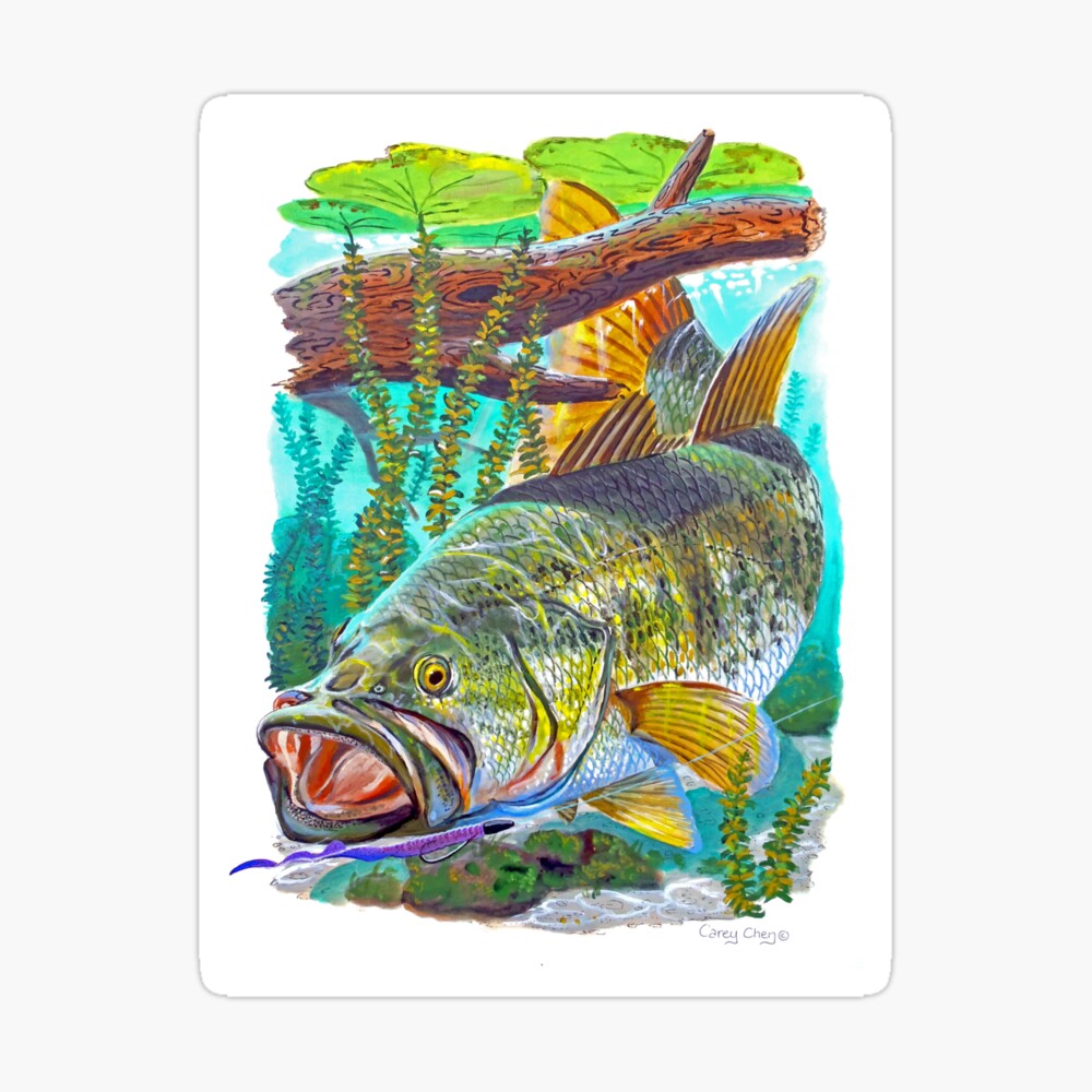 Largemouth Bass Poster for Sale by Carey Chen