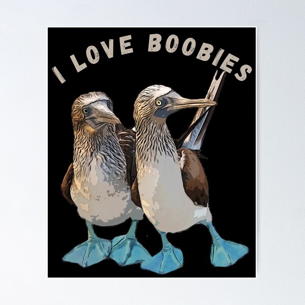 I Love Boobies, Funny Gift For Bird Watchers, Bird Lover Gift Poster for  Sale by UltimatePrintCo