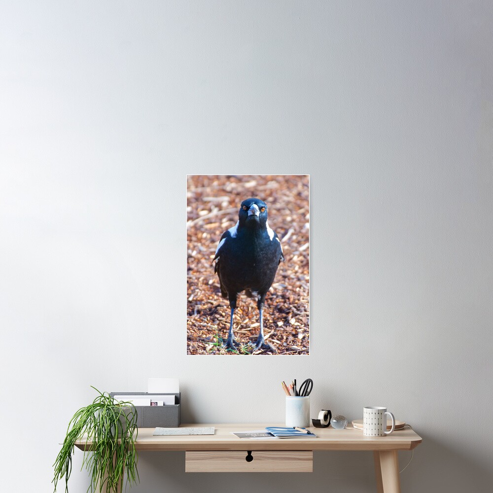 Item preview, Poster designed and sold by tasmanianartist.