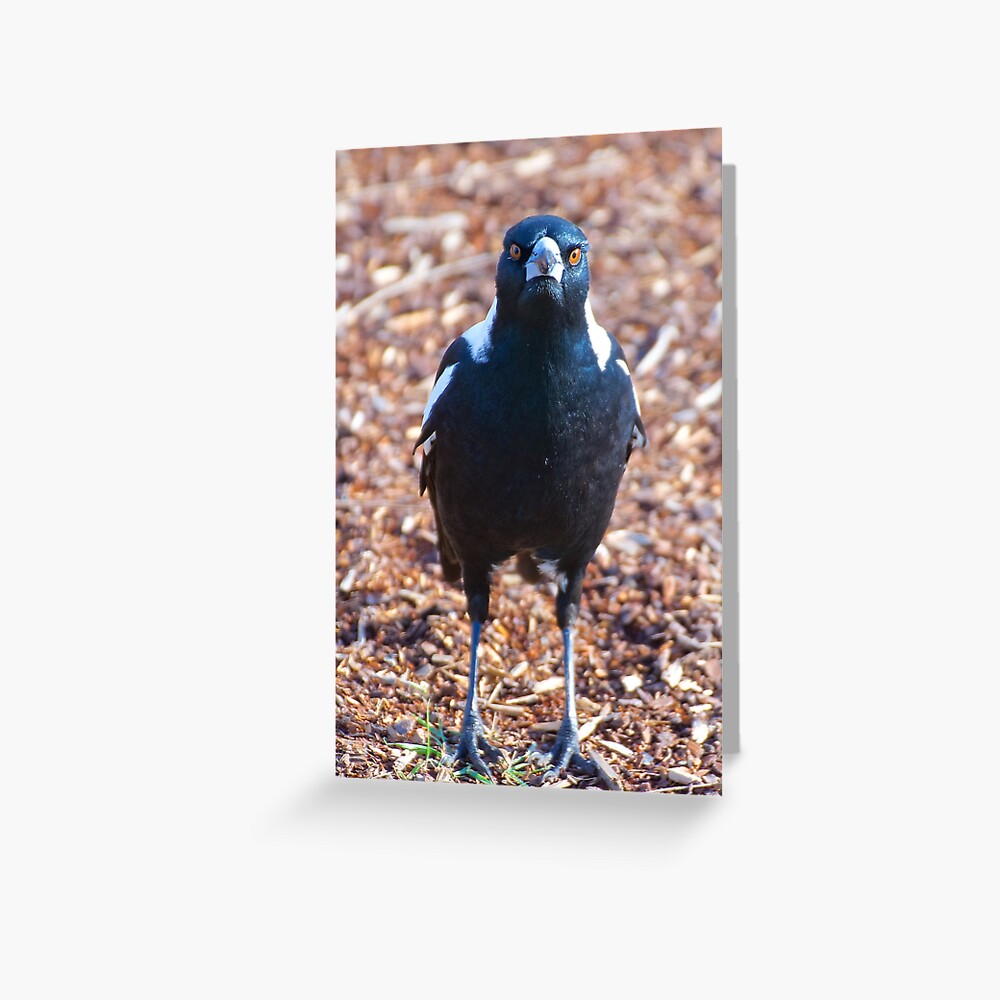 Item preview, Greeting Card designed and sold by tasmanianartist.