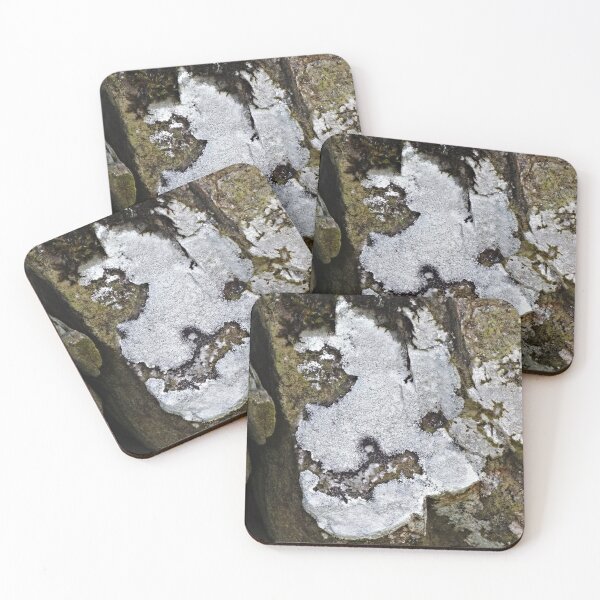 Item preview, The Lichen of the Baskervilles designed and sold by Yampimon.