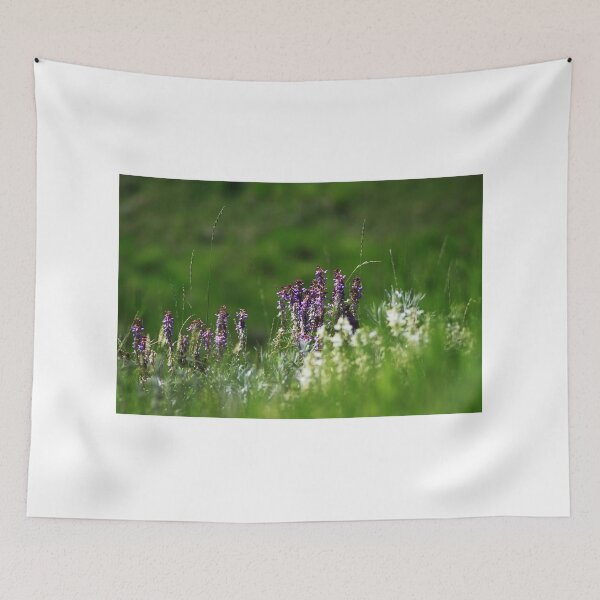 Item preview, Bird Vetch designed and sold by Alyce Taylor.