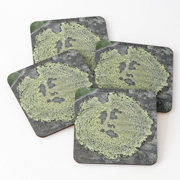 Item preview, Ray the Singing Lichen designed and sold by Yampimon.