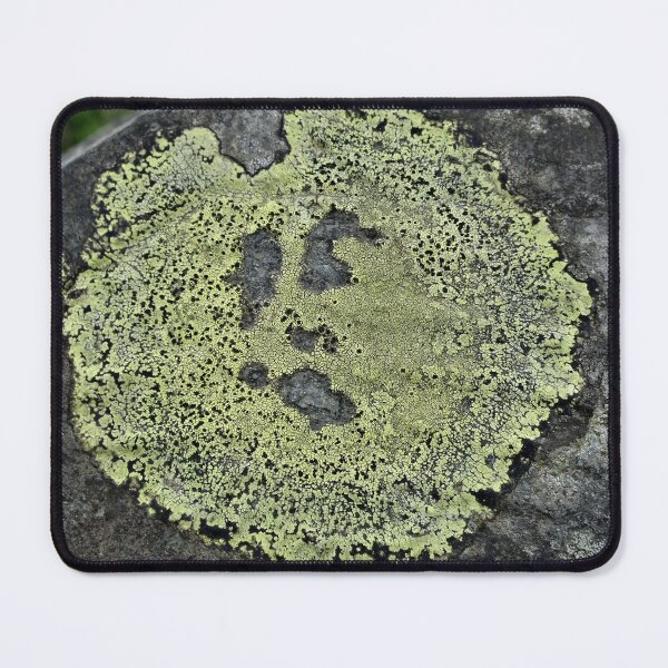 Item preview, Ray the Singing Lichen designed and sold by Yampimon.