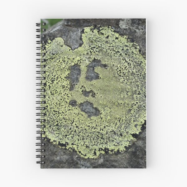 Item preview, Ray the Singing Lichen designed and sold by Yampimon.