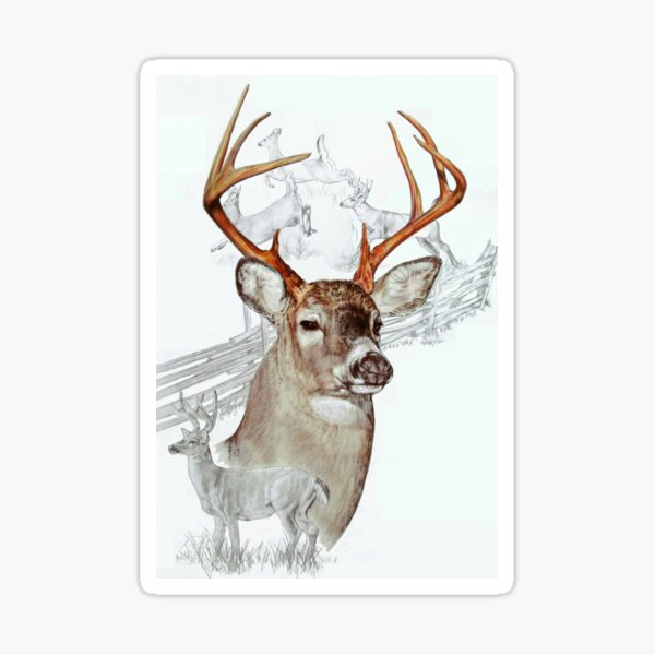 White Tailed Deer Collage Sticker
