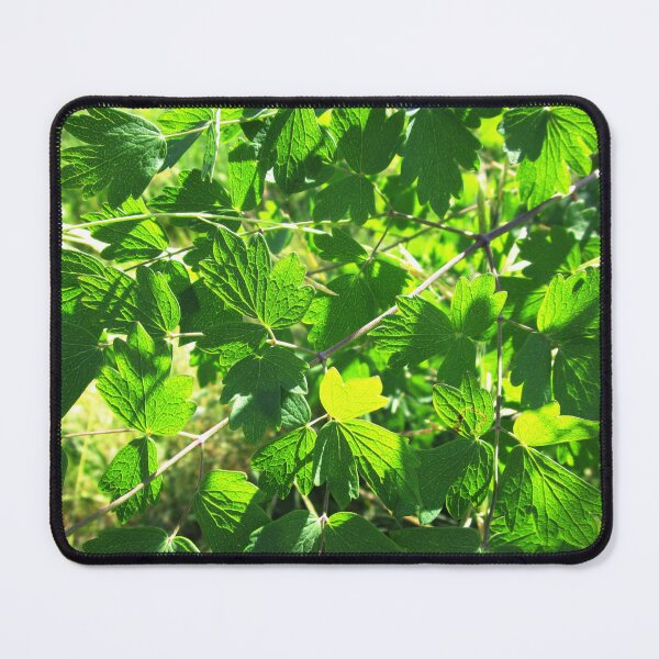 Item preview, Summer green leaves | sunny green leaves designed and sold by lausn.