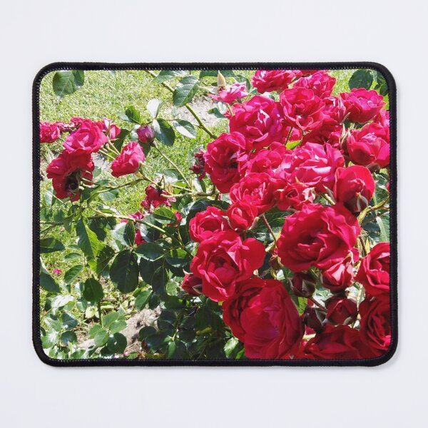 Item preview, Must love all roses designed and sold by Raigitam.