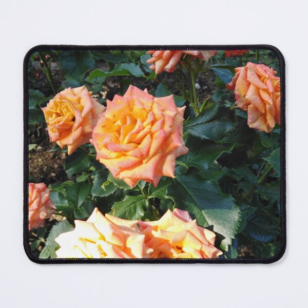 Item preview, Everyone loves orange roses designed and sold by Raigitam.
