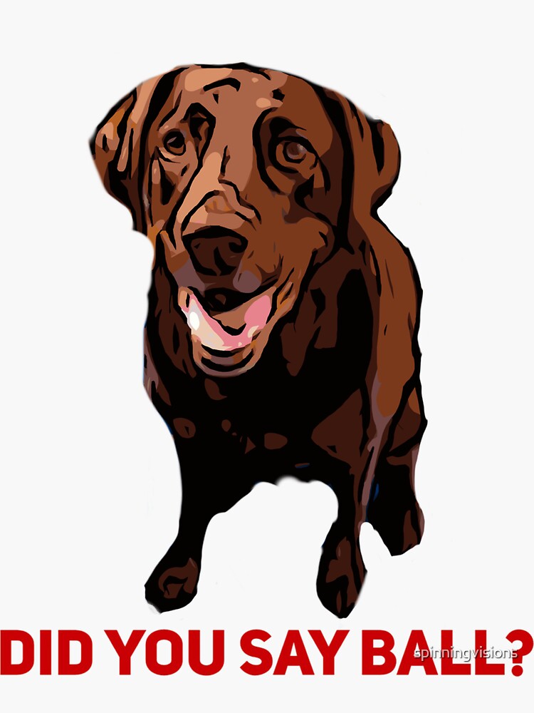 "Chocolate Lab Did you say Ball?" Sticker for Sale by spinningvisions