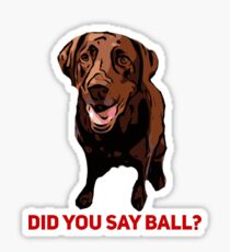 Chocolate Lab Did you say Ball? Sticker