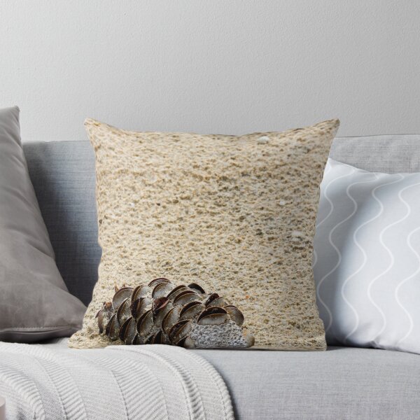 Item preview, Beach banksia pod designed and sold by Howard Spencer.