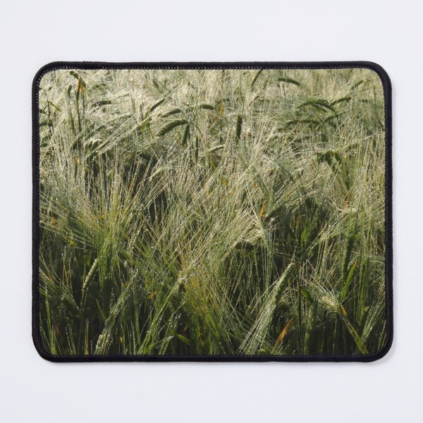 Item preview, Dew Drops on Barley designed and sold by wiggyofipswich.