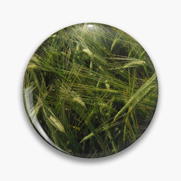 Item preview, Field of Barley designed and sold by wiggyofipswich.
