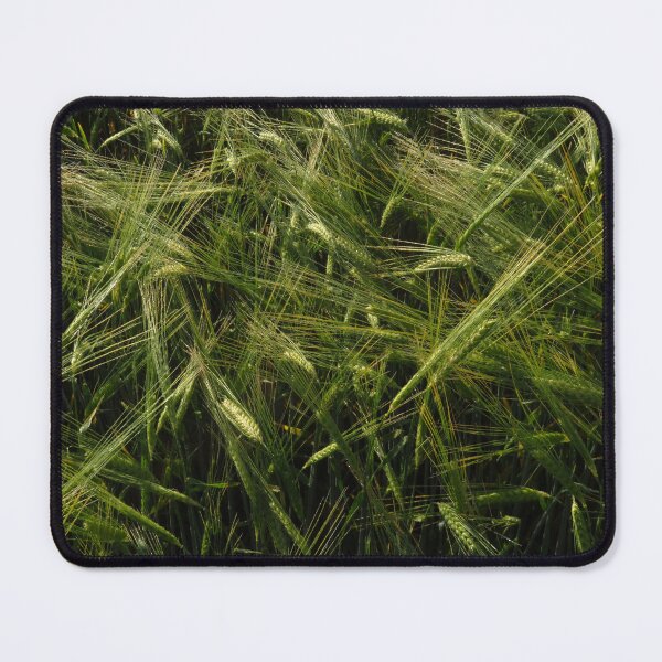 Item preview, Field of Barley designed and sold by wiggyofipswich.