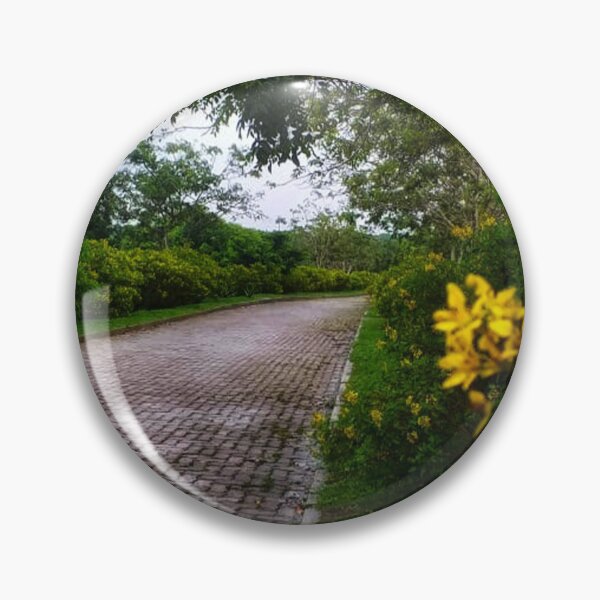 Item preview, Beautiful Flower garden in Sri Lanka in summer designed and sold by dineshshop1.